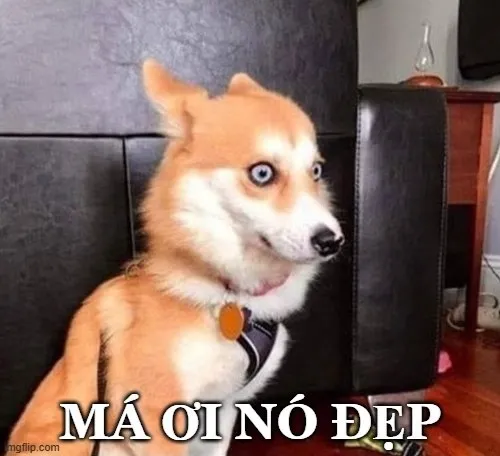 119 118