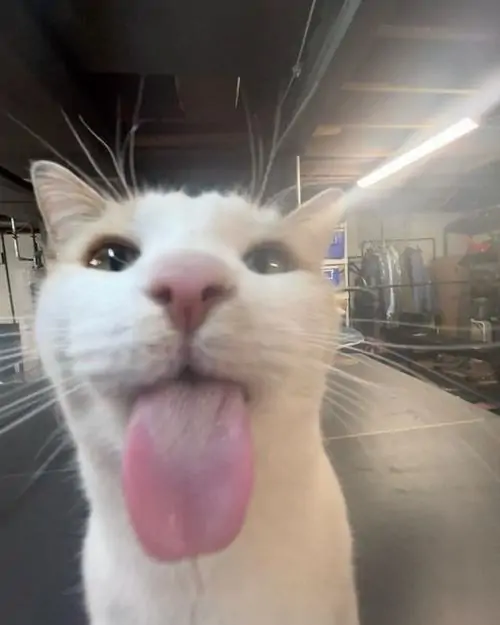 56 55