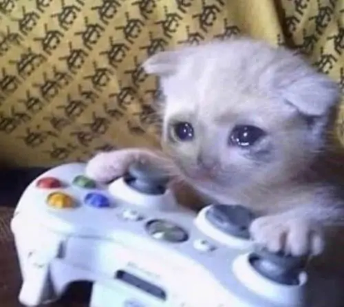 50 49