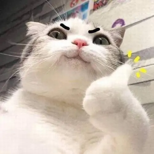 52 51