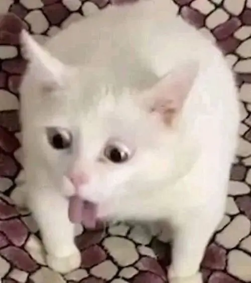 54 53