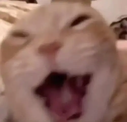 59 58