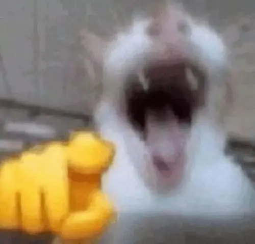 47 46