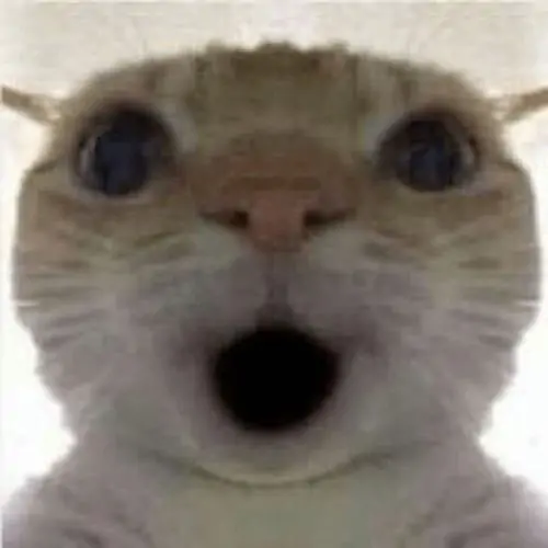 51 50