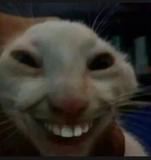 53 52