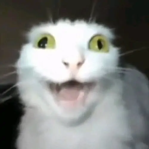 57 56