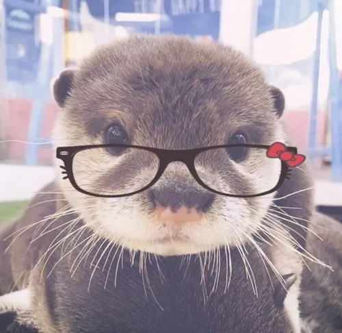 97 96