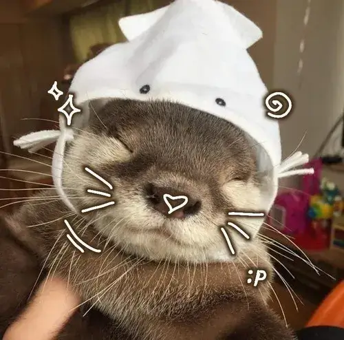 77 76