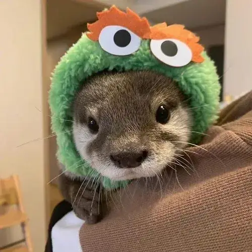 85 84
