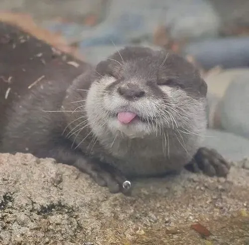 91 90