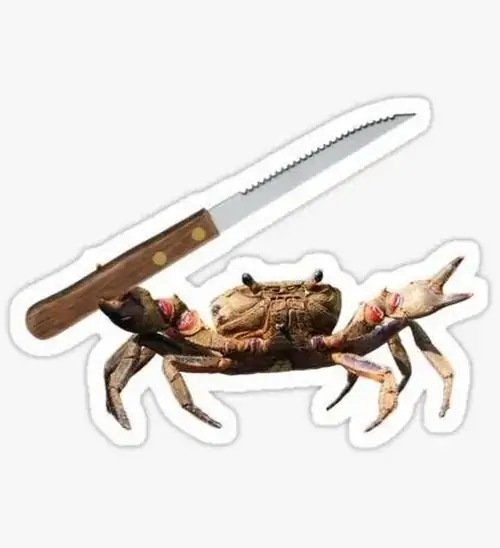 28 Meme cầm dao huyền thoại cho mèo cam đứng bên tường gỗ, mắt mở to dưới dòng chữ Mày nói gì cơ