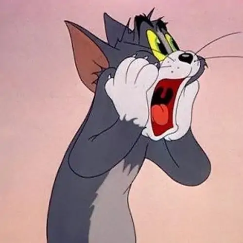 82 81