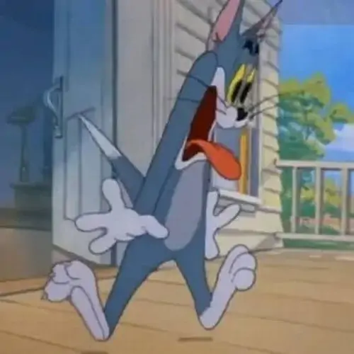 86 85