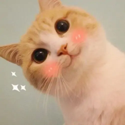 113 112
