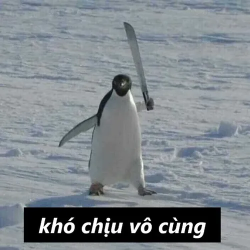 98 97