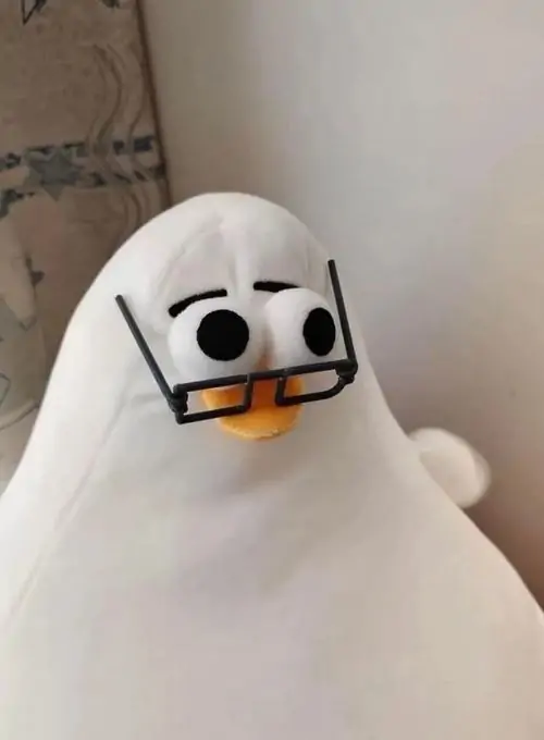 43 42