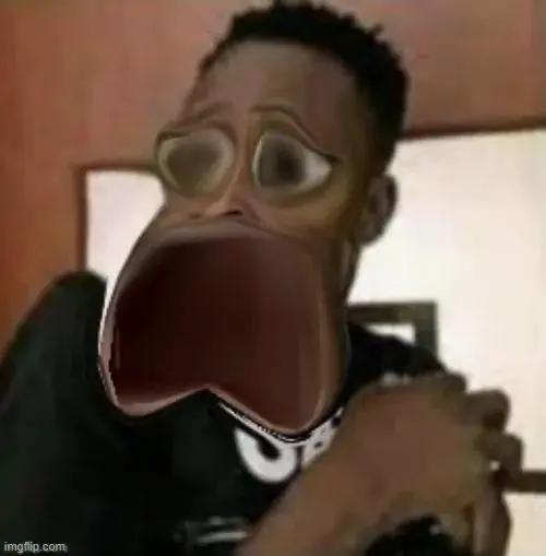 232 231