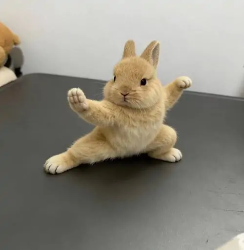 95 94