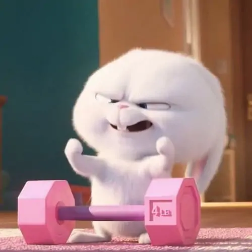 77 76