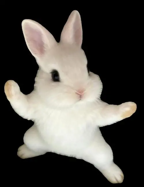 81 80