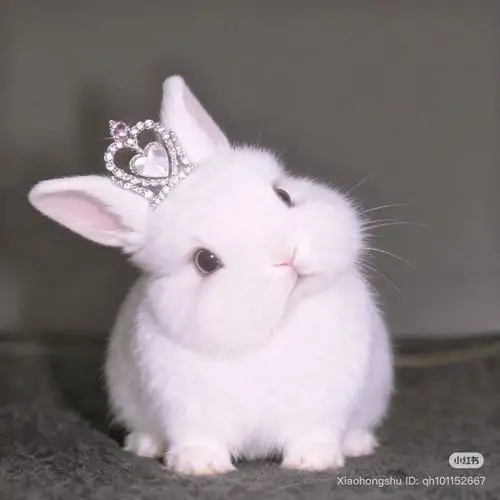 85 84