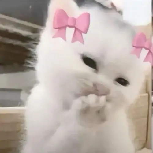 105 104