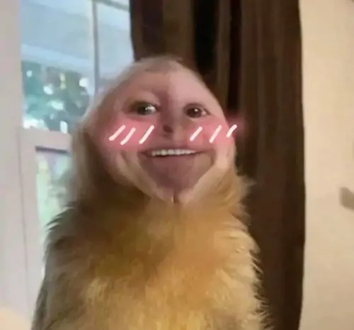96 95