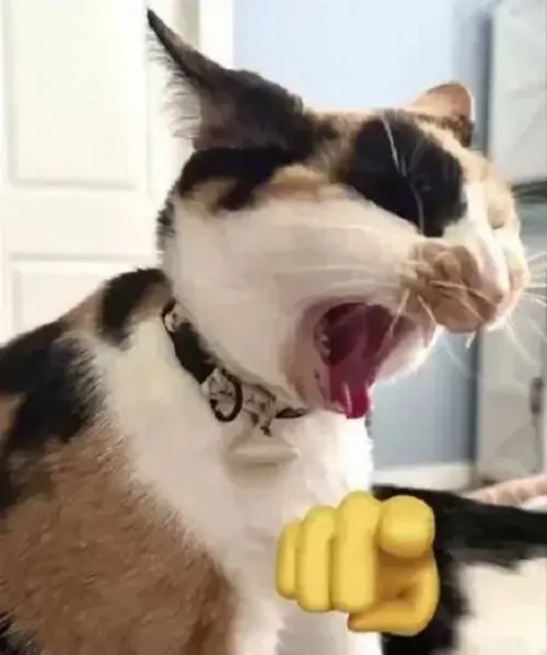 52 51