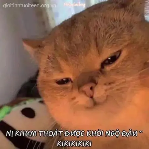 42 Cậu nhân viên cầm ly cà phê và cười mỏi mệt, ảnh meme cười hợp cảnh sáng thứ hai chưa kịp tỉnh