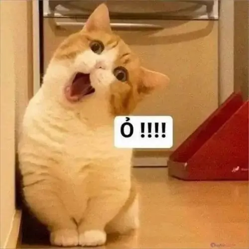 46 45