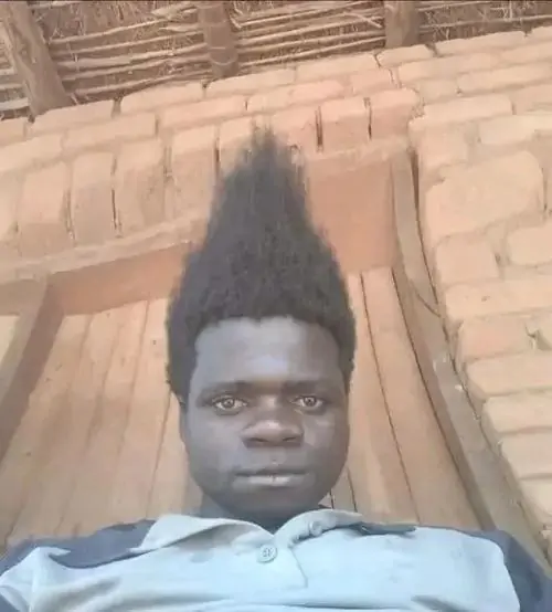 62 61