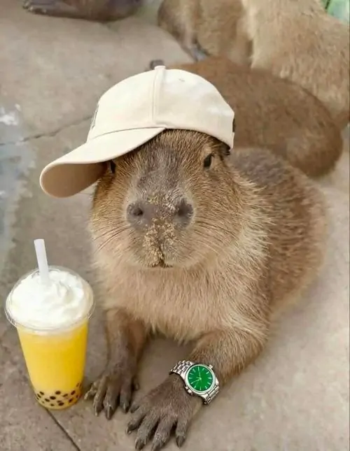 60 59