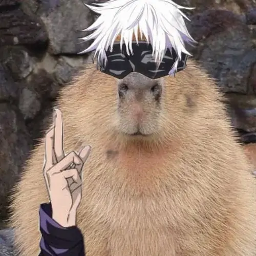 43 Capybara trong trình chỉnh sửa ảnh được thêm kính râm và caption Ok I Pull Up, dáng ngồi tĩnh vẫn là điểm gây cười