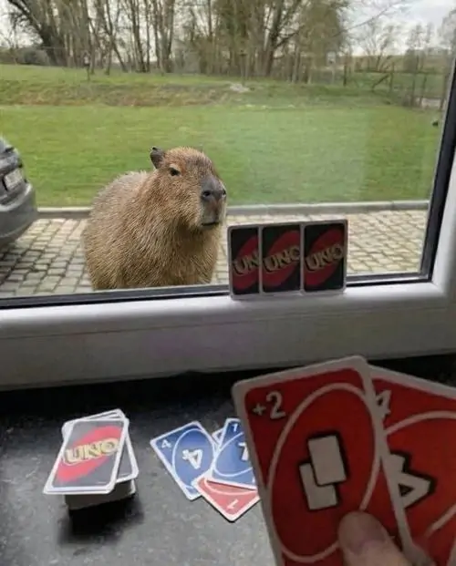 46 45