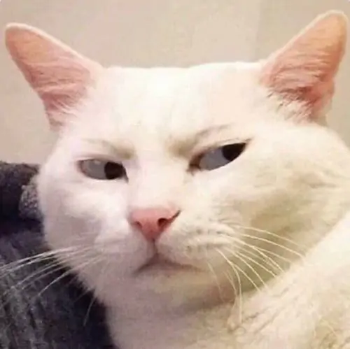 92 91