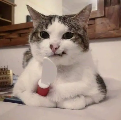 76 75