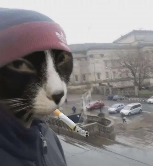 78 77