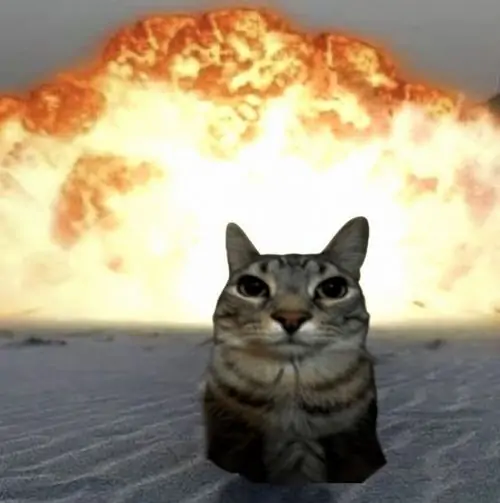82 81