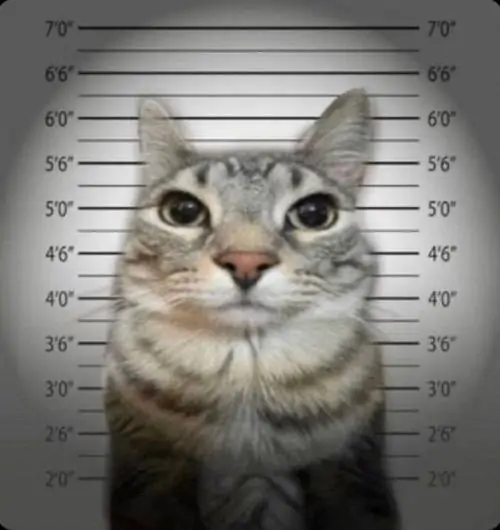 58 57