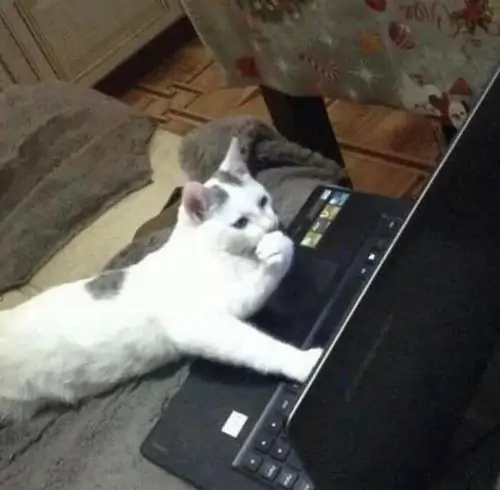 60 59