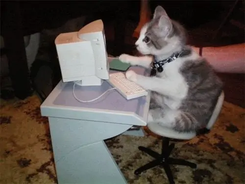 62 61