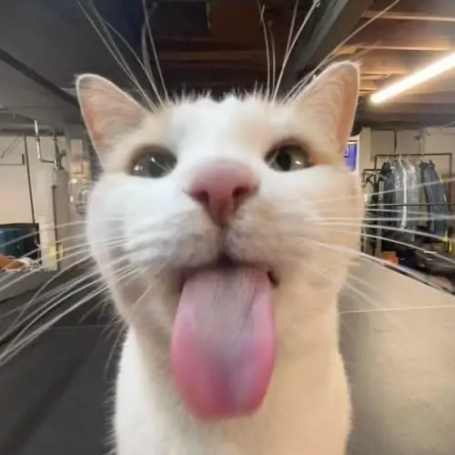 64 63