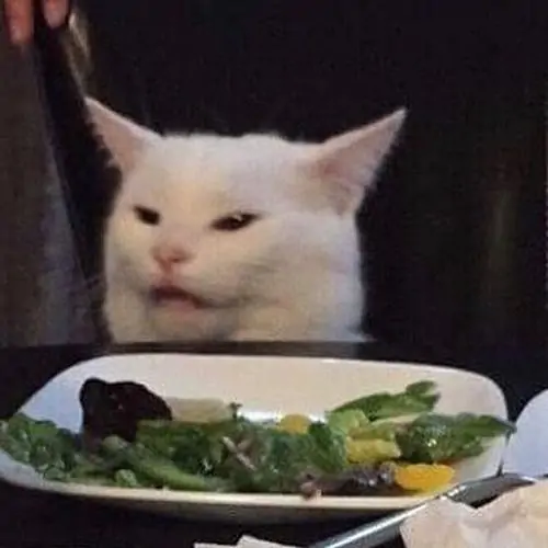 66 65