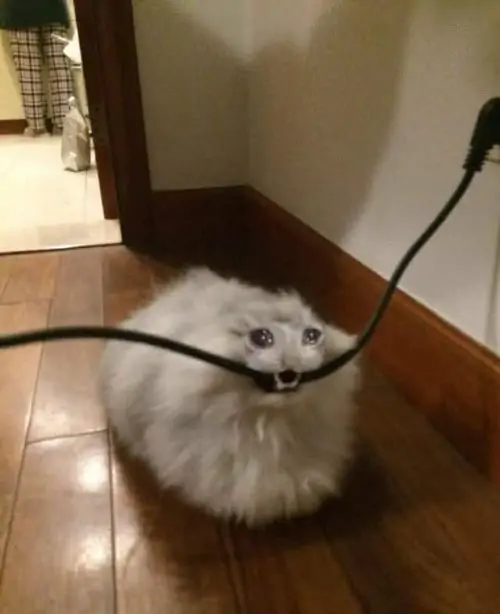 68 67