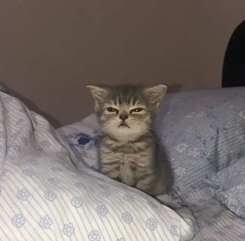 70 69