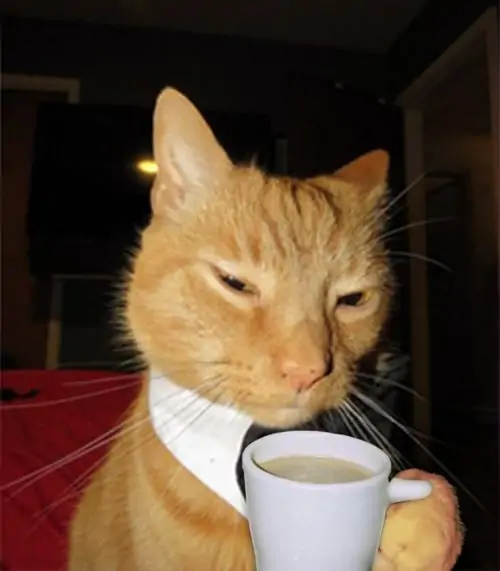 72 71