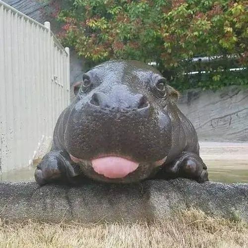 59 58