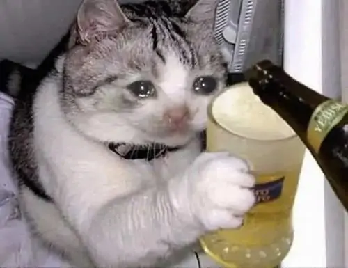 41 40
