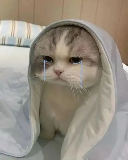 45 44