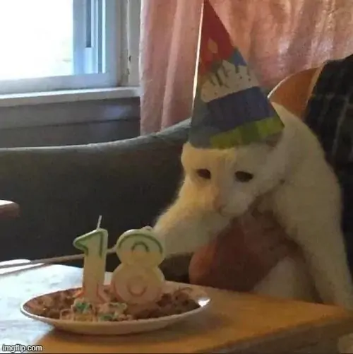 51 50
